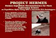 PROJECT HERMES Human Expedition Reconnaissance for Mars Exploration Science on Expedition Alpha Using MSC’s Astronaut EVA Dataloggers Project HERMES evolved
