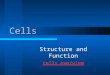 Cells Structure and Function cells overview Section 1: Introduction to the Cell