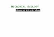 Advanced Microbiology MICROBIAL ECOLOGY. Population, Guilds, and Communities In nature, individual microbial cells grow to form populations. Metabolically
