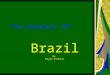 The Wonders Of Brazil By Kejon Dinkins. Demographics  Population: 190 mil people  Language: Portuguese  Capital: Brasilia  Area: 3,300,171 sq mi