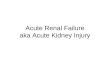 Acute Renal Failure aka Acute Kidney Injury. Definition of Acute Kidney Injury (AKI) based on “Acute Kidney Injury Network” StageIncrease in Serum Creatinine