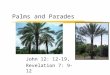 Palms and Parades John 12: 12-19, Revelation 7: 9-12