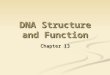 DNA Structure and Function Chapter 13. Miescher Discovered DNA 1868 1868 Johann Miescher investigated the chemical composition of the nucleus Johann Miescher