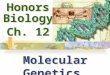 Honors Biology Ch. 12 Molecular Genetics. CH. 12Molecular Genetics I.DNA: The Genetic Material - DNA: The Chemical Basis of Heredity that forms the universal