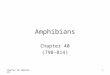 Chapter 40 Amphibians1 Amphibians Chapter 40 (798-814)