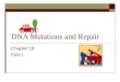 DNA Mutations and Repair Chapter 18 Part 1. Gene Mutations and Repair  Nature of mutations  Causes of mutations  Study of mutations  DNA repair