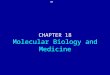 Chapter 18: Molecular Biology and Medicine CHAPTER 18 Molecular Biology and Medicine