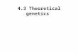 4.3 Theoretical genetics. 4.3 Theoretical genetics: Objectives 1- Define genotype, phenotype, dominant allele, recessive allele, codominant alleles, locus,