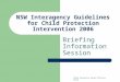 NSW Interagency Guidelines for Child Protection Intervention 2006 Briefing Information Session Child Protection Senior Officers Group