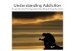 Understanding Addiction Drugs/Alcohol/Pornography/Gambling/Eating Disorders