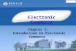 Chapter 1: Introduction to Electronic Commerce Electronic Commerce