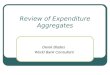 Review of Expenditure Aggregates Derek Blades World Bank Consultant