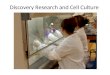 Discovery Research and Cell Culture. The Expression Vector: The Basis of Biotechnology Manufacturing
