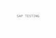 SAP TESTING. Double click on SAPLogon icon on your desktop Select the system and click Logon button