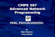 CMPE 587 Advanced Network Programming PERL PROGRAMMING by Buğra Başaran Caner Kurtul