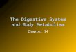 The Digestive System and Body Metabolism Chapter 14