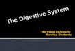 The Digestive System.  Digestion  The process by which the digestive system breaks down food into molecules that the body can use.  2 types of digestion