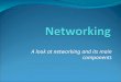 A look at networking and its main components. NETWORK A network is a group of connected computers that allow people to share information and equipment