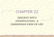 CHAPTER 22 DESCENT WITH MODIFICATION: A DARWINIAN VIEW OF LIFE 1