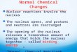 Nuclear Reactions vs. Normal Chemical Changes Nuclear reactions involve the nucleus Nuclear reactions involve the nucleus The nucleus opens, and protons