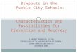 A REPORT PRODUCED BY THE CENTER FOR SOCIAL ORGANIZATION OF SCHOOLS JOHNS HOPKINS UNIVERSITY NOVEMBER 2008 Dropouts in the Pueblo City Schools: Characteristics