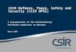 CSIR Defence, Peace, Safety and Security (CSIR DPSS) A presentation to the Parliamentary Portfolio Committee on Defence March 2007