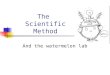 The Scientific Method And the watermelon lab. What is the scientific method? It is a step by step procedure of scientific problem solving. Similar to
