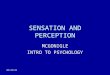 9/8/2015 SENSATION AND PERCEPTION MCGONIGLE INTRO TO PSYCHOLOGY