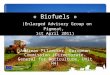 « Biofuels » (Enlarged Advisory Group on Pigmeat, 1st April 2011) Andreas Pilzecker, European Commission (Directorate-General for Agriculture, Unit H4)