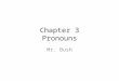 Chapter 3 Pronouns Mr. Bush. What is a Pronoun? Pronoun- word that is used in place of a _______ or another pronoun. – A pronoun can refer to person,