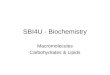 SBI4U - Biochemistry Macromolecules Carbohydrates & Lipids