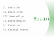 1 Brain I.Overview II.Brain Stem III.Cerebellum IV.Diencephalon V.Cerebrum VI.Cranial Nerves