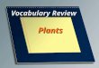 Vocabulary Review Plants. Plant cell with thin walls responsible for metabolic reactions including photosynthesis Parenchyma