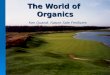 The World of Organics Ken Quandt, Nature Safe Fertilizers