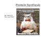 Protein Synthesis An intro to this section!. Transcription Making RNA from DNA 296-297; 300-303