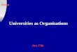 Universities as Organisations Jon File. The university as a mini-city