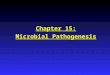 Chapter 15: Microbial Pathogenesis. Entry into the Host Must access and adhere to host tissues, penetrate or evade host defenses, and damage tissue to