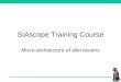 SIAscope Training Course Micro-architecture of skin lesions