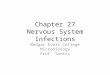 Chapter 27 Nervous System Infections Medgar Evers College Microbiology Prof. Santos