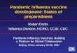 Pandemic influenza vaccine development: Status of preparedness Ruben Donis Influenza Division, NCIRD, CCID, CDC Pandemic Influenza Vaccines: Building a