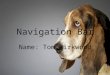 Navigation Bar Name: Tom kirkwood. Navigation bar The purpose of a navigation bar isit helps you find things on a website. Some navigation bars have