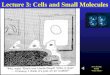 Now playing: Handel “Water Music” Lecture 3: Cells and Small Molecules