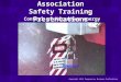 Copyright  Progressive Business Publications Control of Hazardous energy Blue Ridge Safety Association Safety Training Presentations