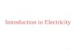 1 Introduction to Electricity 2 3 Lighting an Electric Bulb Light Bulb Switch Battery Electron Flow + -