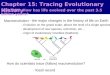 Chapter 15: Tracing Evolutionary History Macroevolution - the major changes in the history of life on Earth - development of new species, extinction, etc…