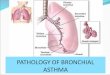 PATHOLOGY OF BRONCHIAL ASTHMA. Bronchial Asthma Define bronchial asthma. o Describe types of bronchial asthma. o Discuss etiopathogenesis of asthma. o