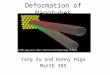 Deformation of Nanotubes Yang Xu and Kenny Higa MatSE 385 rotkin/nanotube/nems-1.html