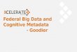 Federal Big Data and Cognitive Metadata - Goodier