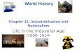Life in the Industrial Age (1800–1914) World History Chapter 12: Industrialization and Nationalism
