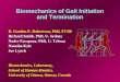 Biomechanics of Gait Initiation and Termination D. Gordon E. Robertson, PhD, FCSB Richard Smith. PhD, U. Sydney Nader Farapour, PhD, U. Tehran Natasha